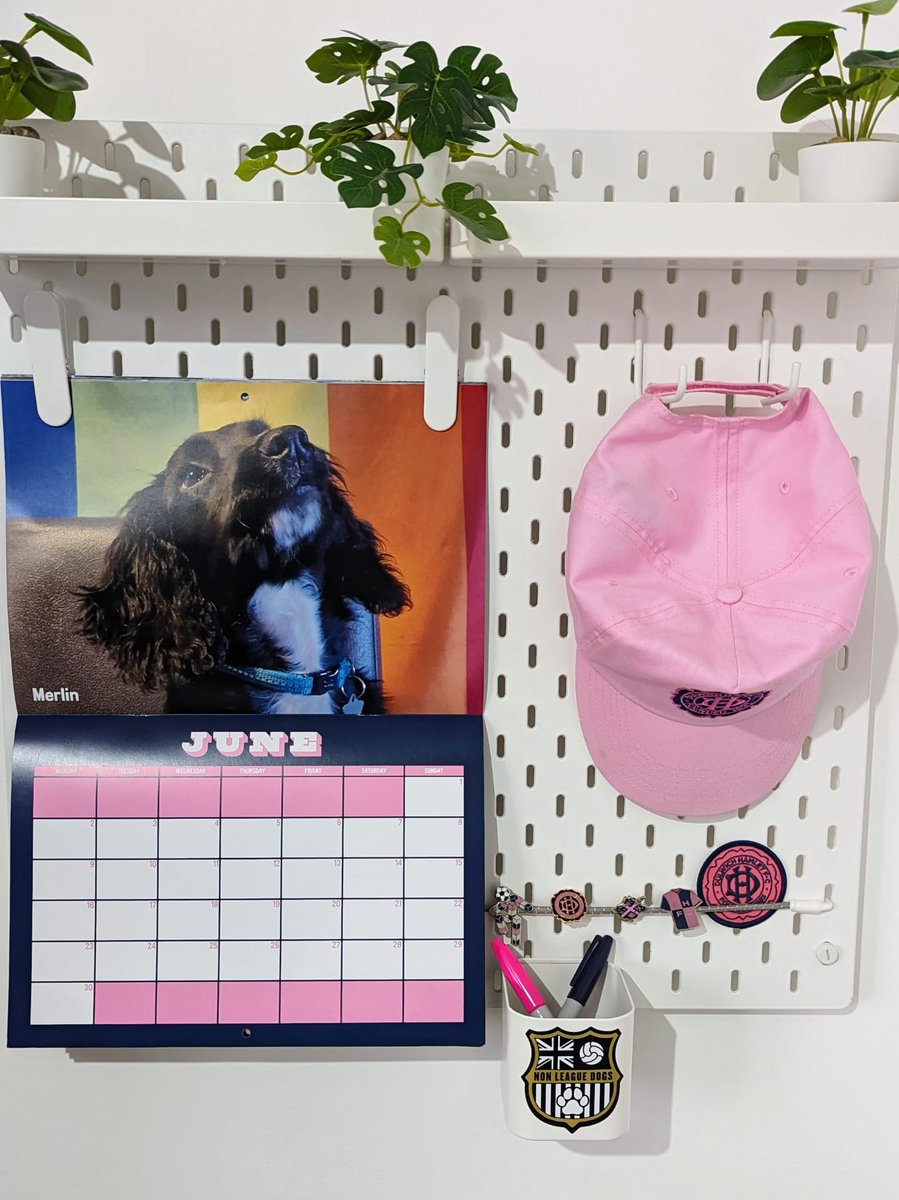 Heading to Champion Hill today? 

Once again, the MegaContainer will be opening for all your shopping needs - including our MUST HAVE Hamlet Hounds 2025 calendar.

Get yours today. When they're gone, they're gone... #dhfc