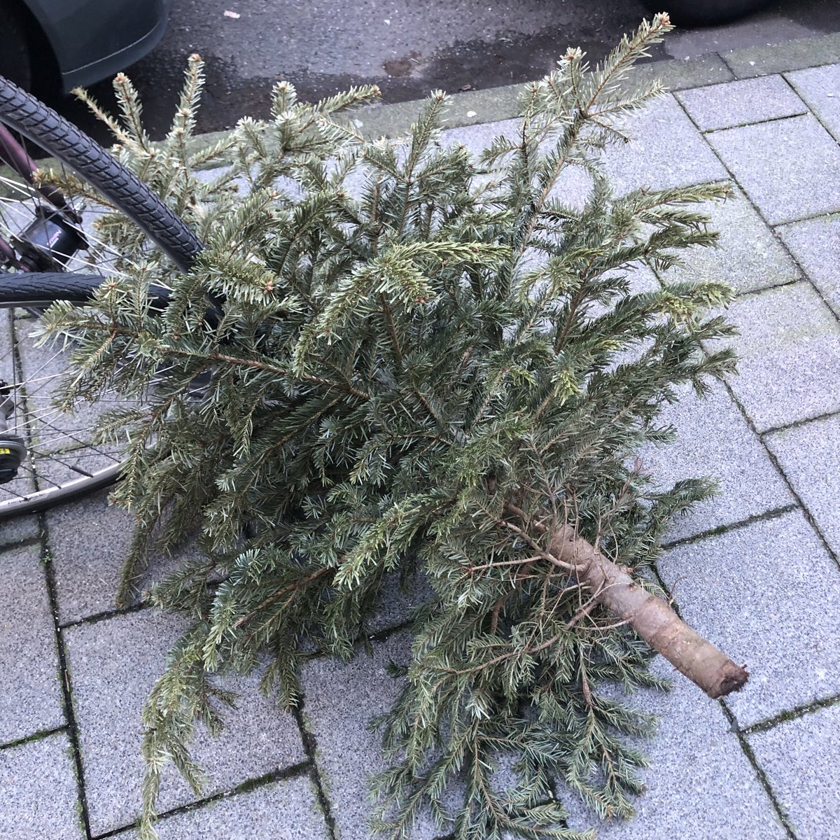 Ok - das ging schnell. #nachbarschaft