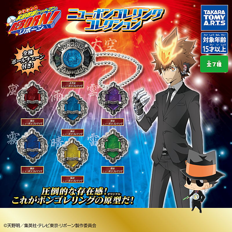 家庭教師ヒットマンREBORN！ カレンダー ポスター ボンゴレリング 家庭