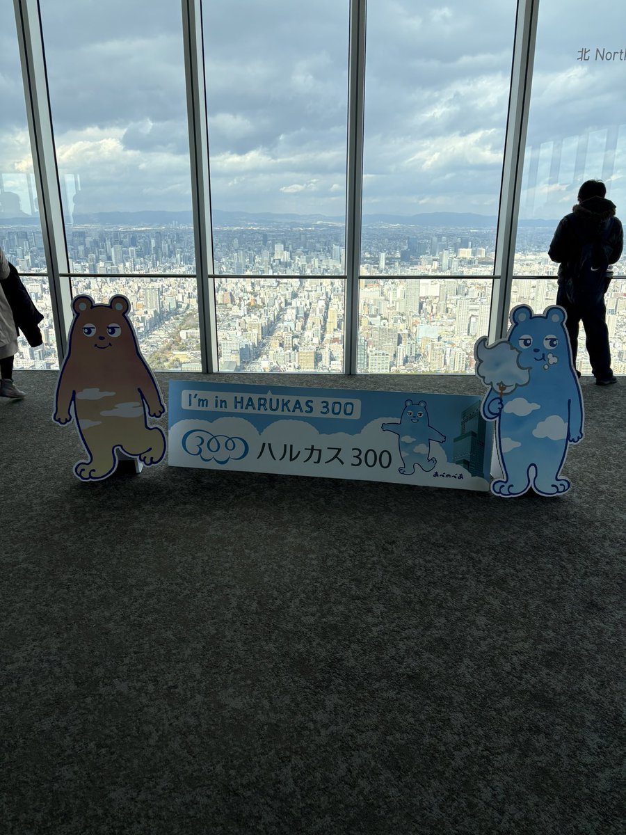 Aimi_mama's tweet photo. #優里_アリーナツアー2024 
の為に、大阪まで遠征中。
@あべのハルカス　で大阪の眺めを見て
お好み焼き食べました。
大阪城ホール向かいます🚃 https://t.co/w1lVH7dx2K