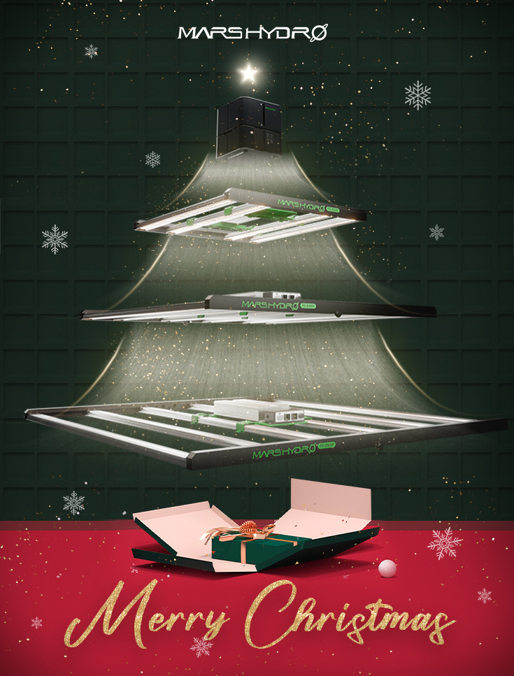 Coco_Pan2022's tweet image. #MerryChristmas  #HappyNewYear2025 
#FCE4800 #FCE6500
A new year has begun!!! Are you ready?

amazon.com/dp/B08Q3B22X7?…