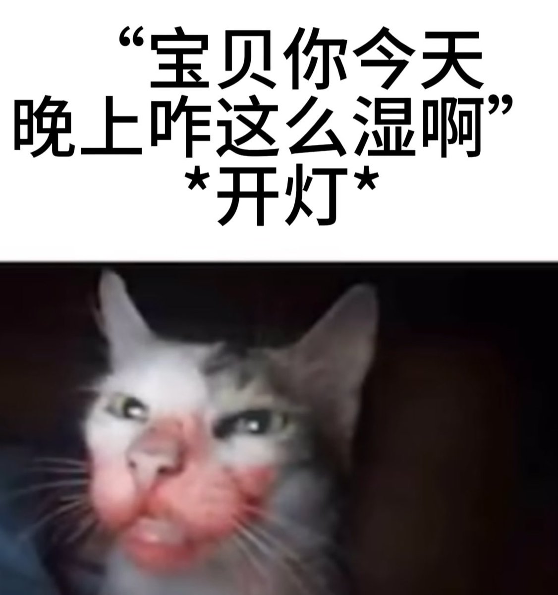 desire01034355's tweet photo. 真的是，我要笑死了🤣  神特么这么湿！！！ https://t.co/EtzI8HJk4L