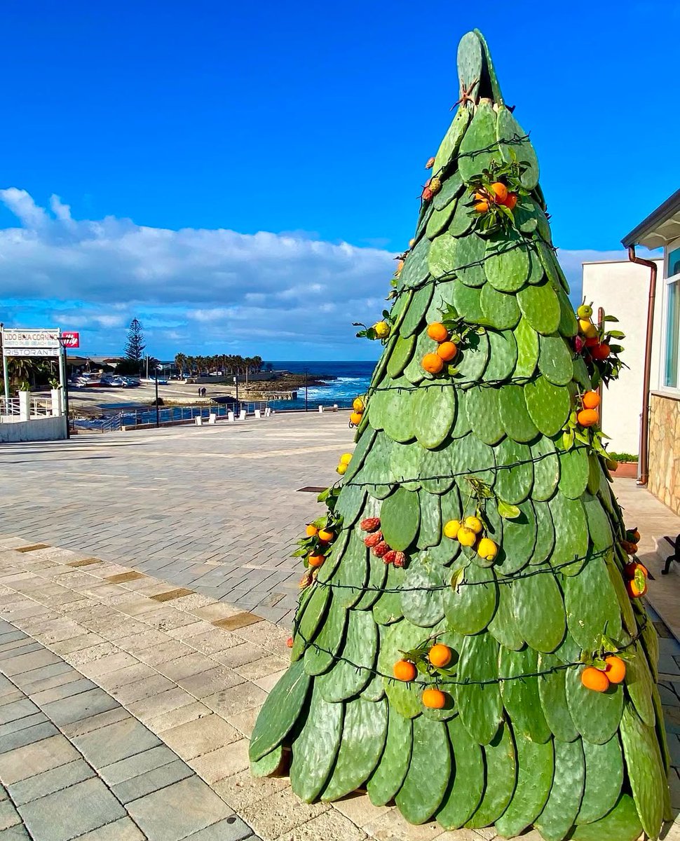 Buone feste a tutti 🎄🎁💫♥️