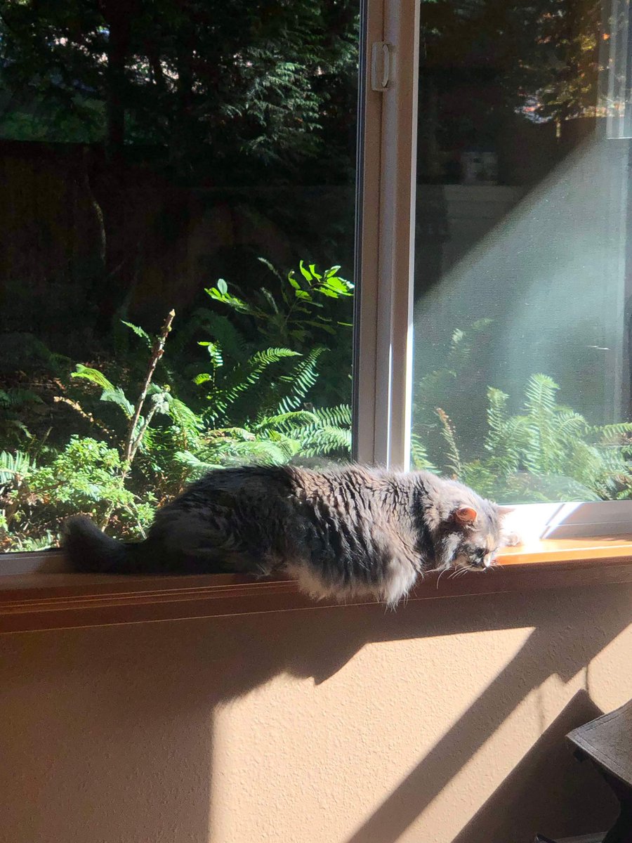 This picture that I took of Jo reminds me of a renaissance painting