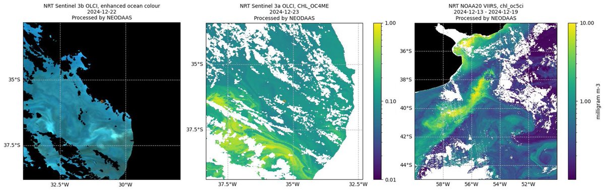 Atlantic Meridional Transect (AMT) tweet media