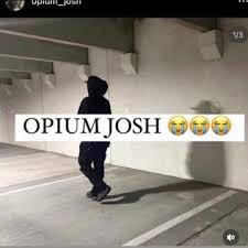 vertoxed tweet media