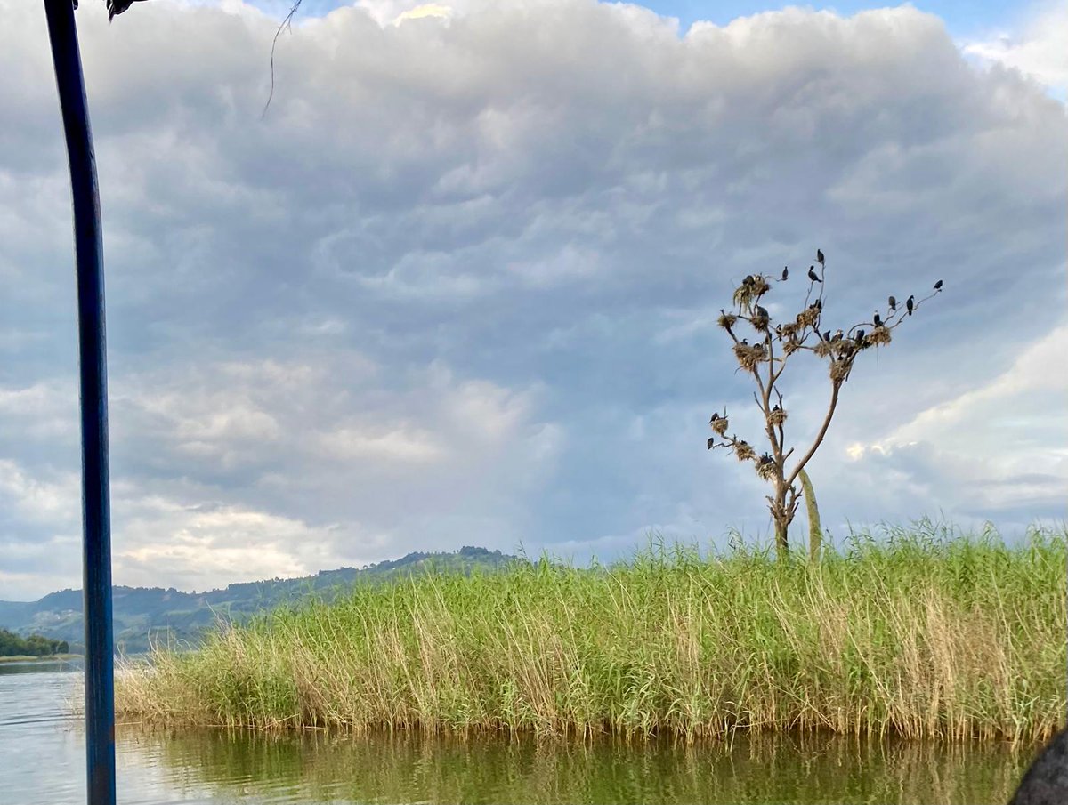 I welcome those who have chosen to spend their Christmas holidays in Kigezi to this historic small island called the Punishment Island on Lake Bunyonyi. 
It's a must visit. Enjoy!!!