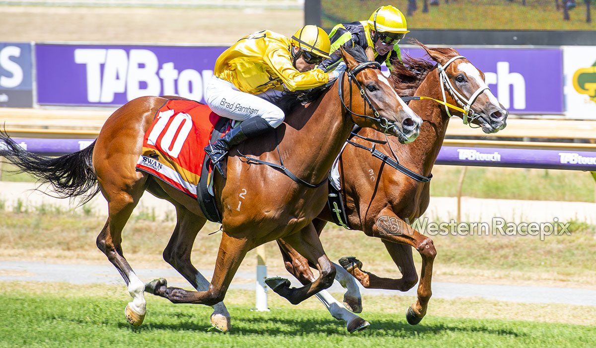 WesternRacepix's tweet photo. TERRITORY MAN - Pinjarra Thurs 26th December #WesternRacepix #BoxingDayRaces
More ๐ธ https://t.co/SigLznY1t7 https://t.co/wY1ACO04kt