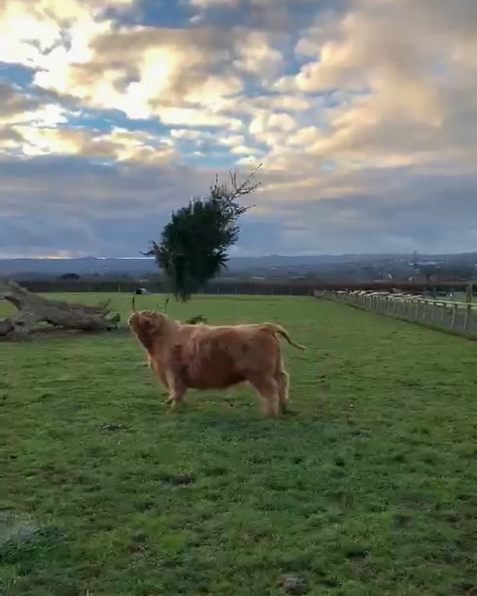 Greendale Farm Shop tweet media