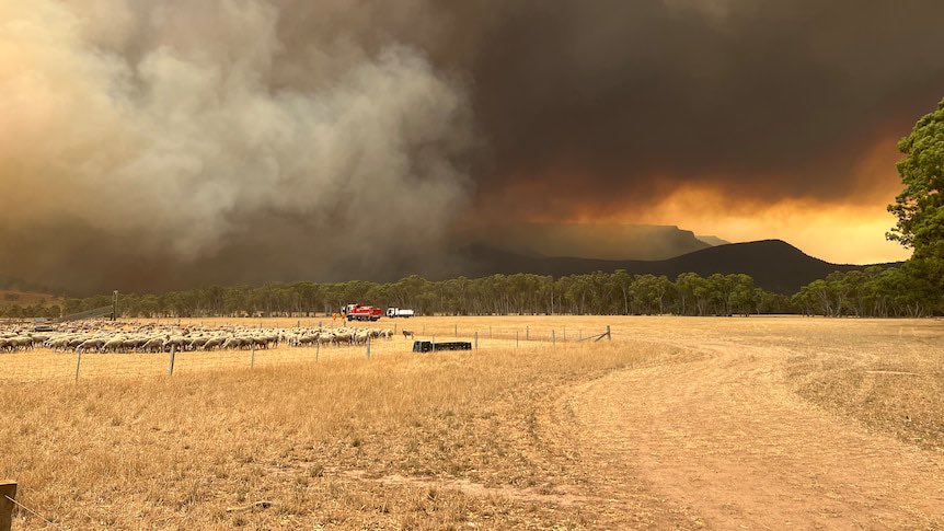 OzzieReviews's tweet photo. Any of you in the fire affected areas of Victoria and South Australia? Can you give us an update of what’s going on in your area?
Photo credit: ABC Australia
#ozziereviews #australia #victoria #southaustralia #fire #fires #vicfires #safires #vicfire #safire #bushfire #bushfiresaustralia #bushfires #emergencyservices #bushfireseason #bushfireaustralia #summer #summer2024