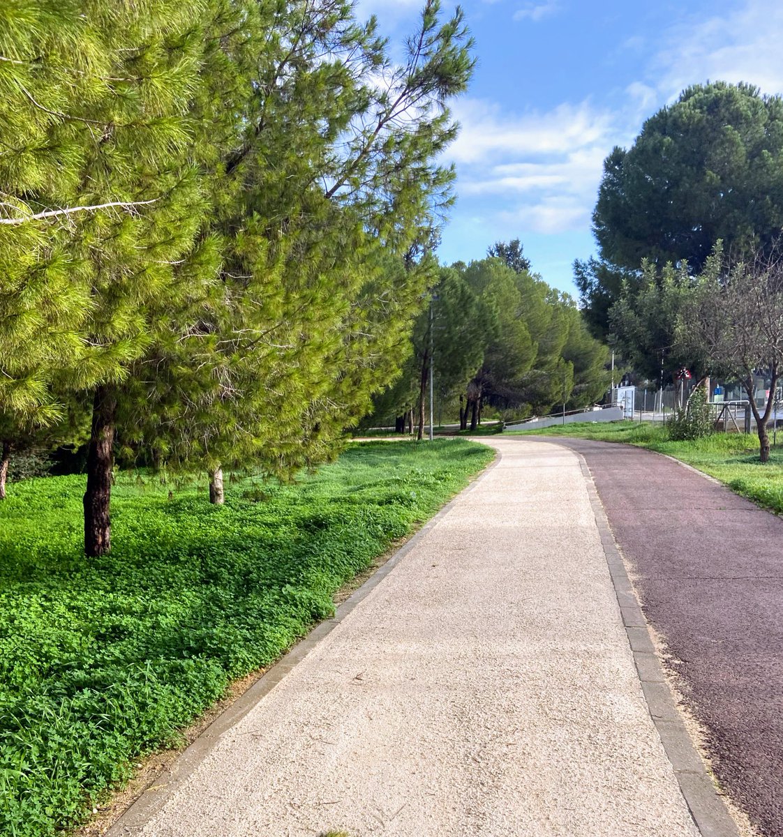 AnthiPapasavva's tweet photo. Τροχαδι στη φύση σήμερα βρε μίλλες της χτεσινής ημέρας #PostXmasRun 💫🥰🎄💪 https://t.co/DQ9mLANm8x