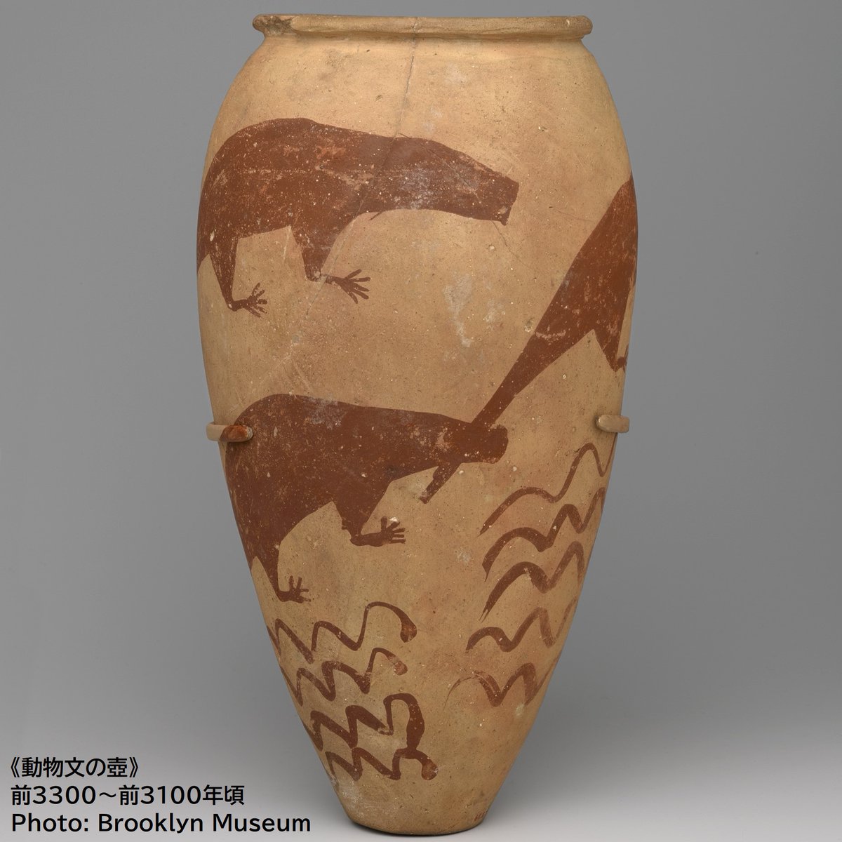 壺　中古品 今年は蛇年🐍 「動物文の壺」には縦横無尽に蛇の姿が 確かに下の