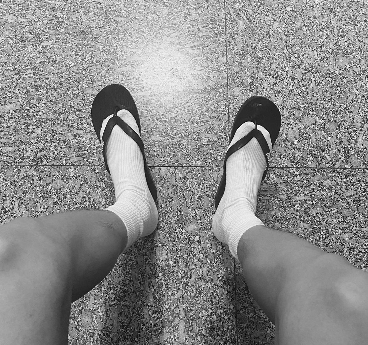 Miggggossss's tweet photo. 马喽���有毛 https://t.co/7gq75959Jv