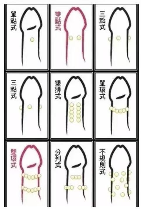 入珠是这样的？！！ https://t.co/S9TAciYrv0