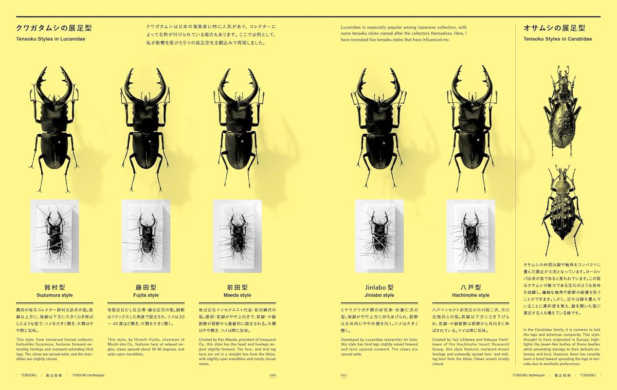 Keiki FUKUI 福井敬貴 tweet media