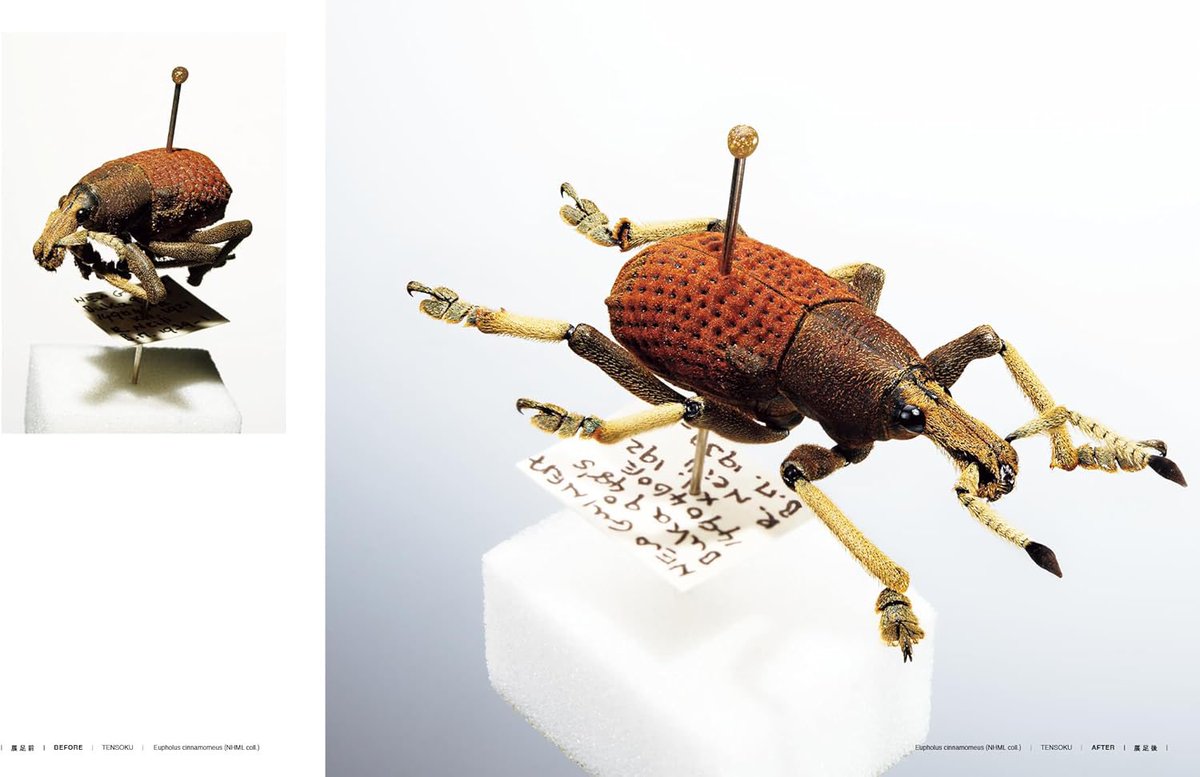 Keiki FUKUI 福井敬貴 tweet media