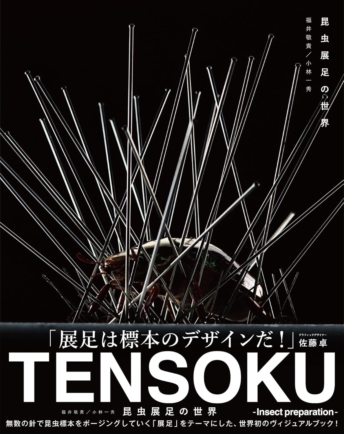 Keiki FUKUI 福井敬貴 on X: 