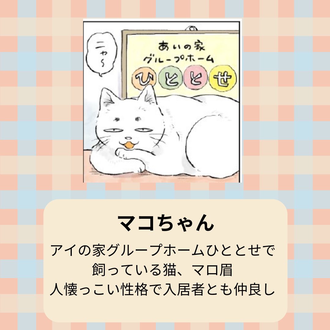 MCSbooks's tweet photo. 【配信中】 
「#ハルと思い出めぐりごはん」 
第1話　佐々木さんのハヤシライス  　

作：佐倉イサミ（@sakura_isami）  

今日は、入居者と一緒に暮らす
猫のマコちゃんの紹介をします🐱

健達ねっと
https://t.co/Aj51oYA5he

Amazon
https://t.co/SCsbEmUhAH https://t.co/kbACJXgBCl