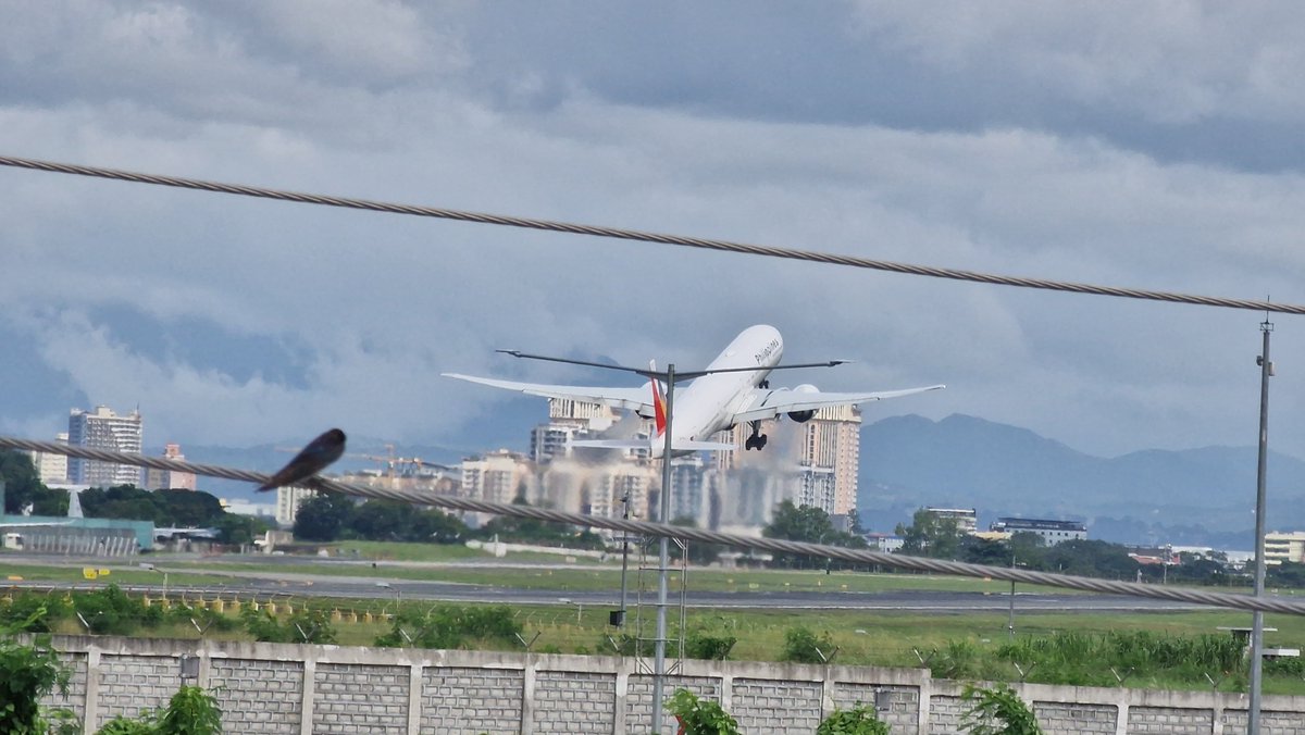 細胞 | Christian and his foxes tweet media