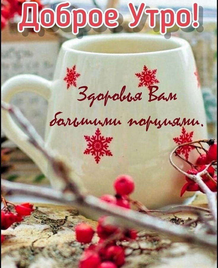 liudmila tweet media