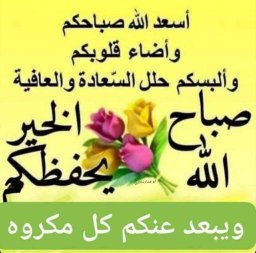 Talal Dawelneem (@tdawelneem) on Twitter photo 