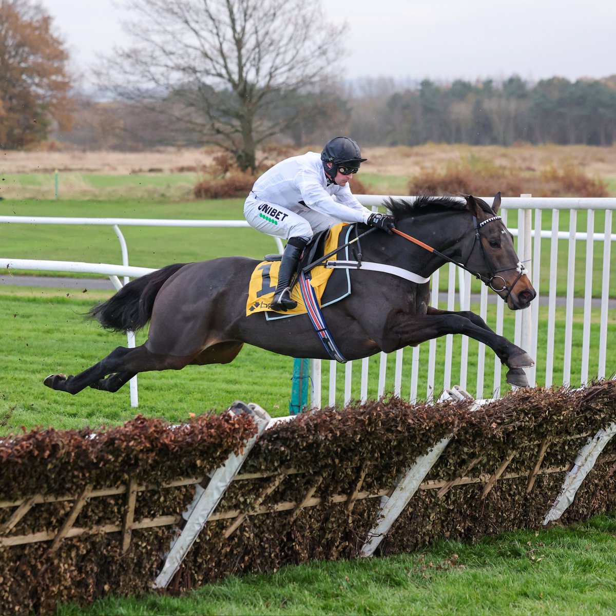 Stephen R Power tweet media