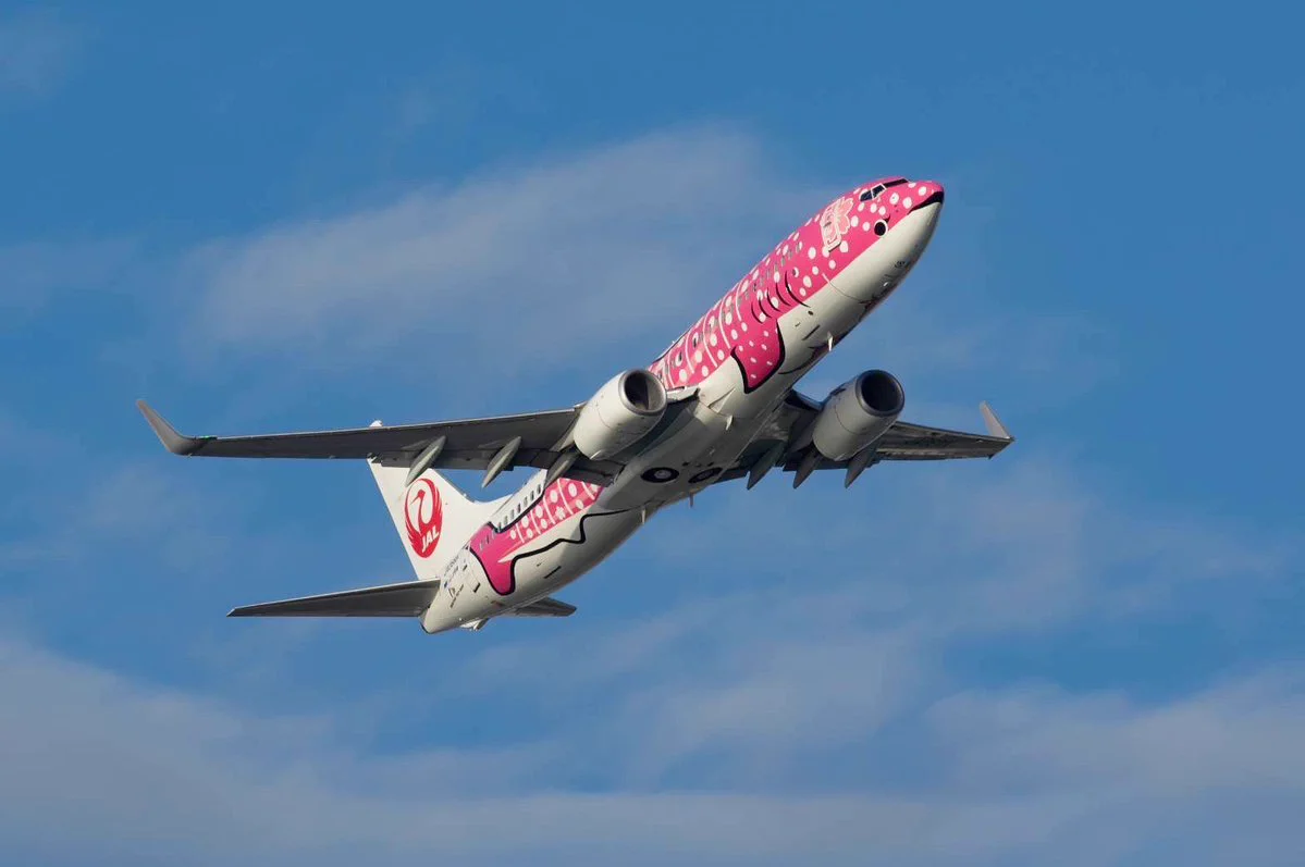 日本トランスオーシャン航空｜ JTA on X: 