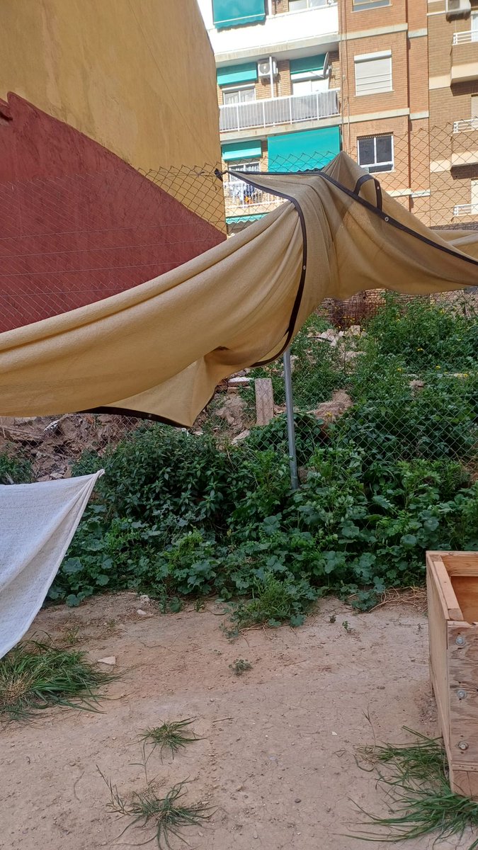 El pasado lunes 23 de diciembre, la provincia de #Valencia estaba en alerta naranja por rachas muy fuertes de viento.
En <a href="/ColoniaGats/">ColoniaGatsLaPlata</a>   sufrimos esas rachas y se ha levantado del suelo un poste que estaba con cemento y casi todas las lonas se han roto por la fuerza del viento.