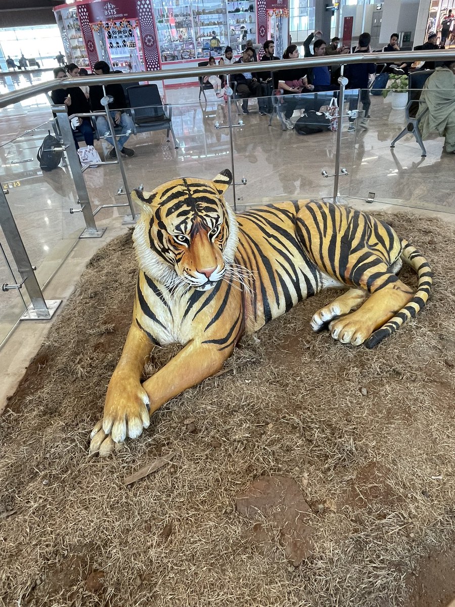 ursagam's tweet photo. Absolutely blown away by the stunning new Gwalior airport after its redevelopment! It rivals some of the best European airports. Huge thanks to @JM_Scindia @narendramodi Ji for this mesmerizing transformation. Truly, #IndiaShining 🇮🇳✨ #gwalior https://t.co/PF6BEvO4gJ