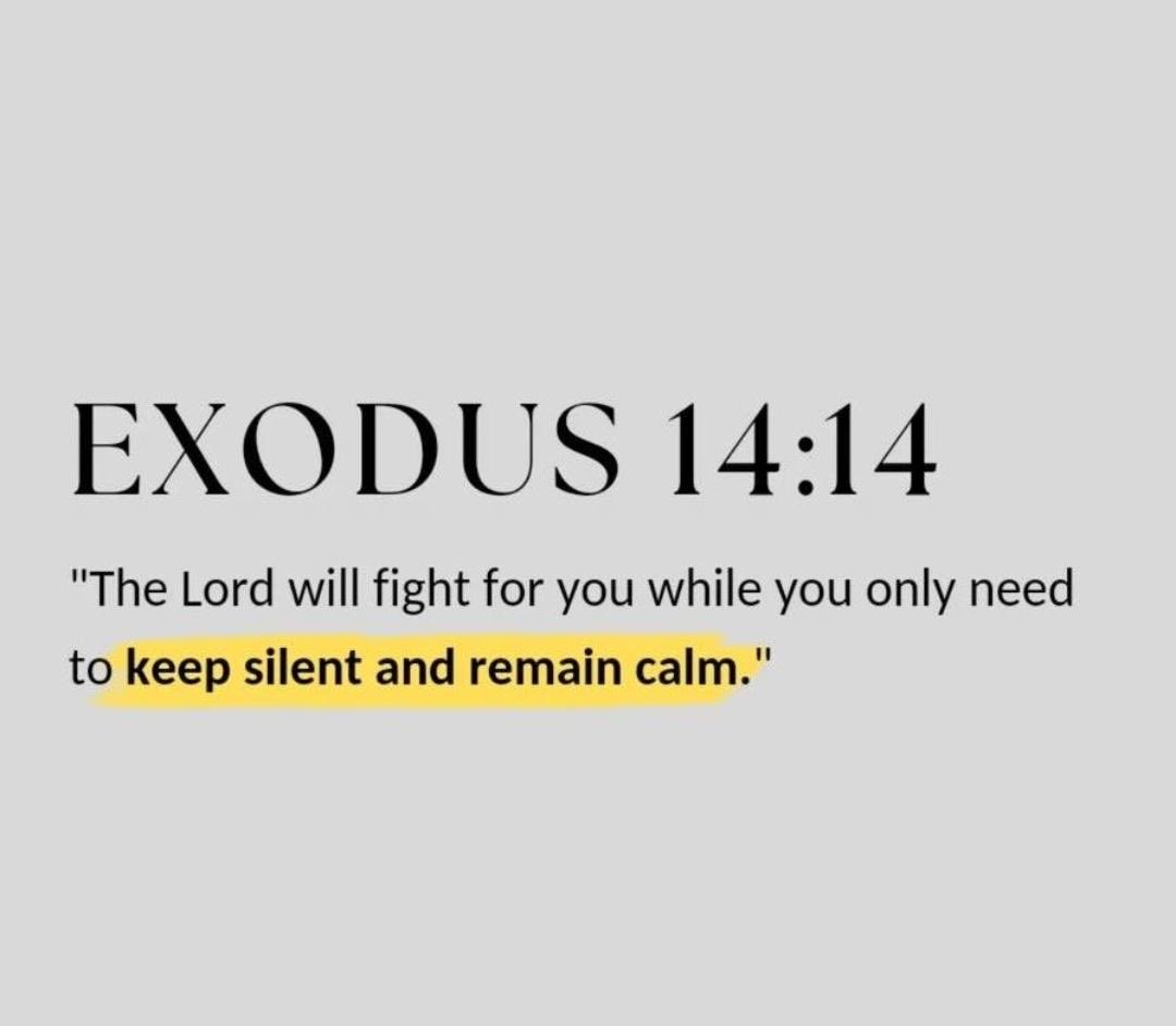 Bible365_'s tweet image. 