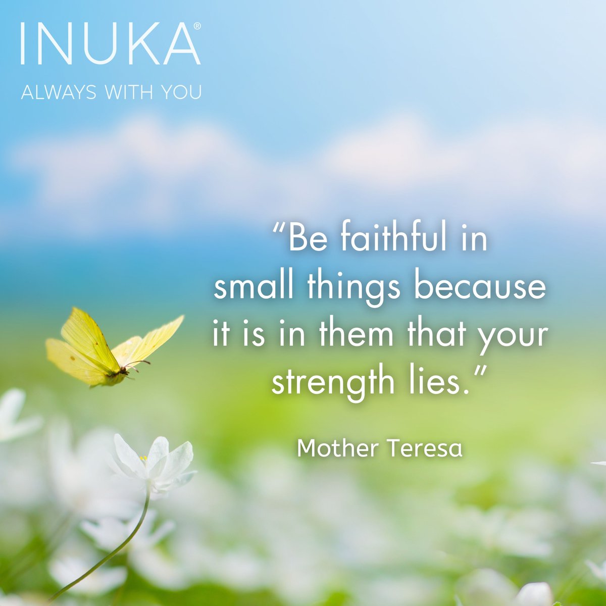 InukaFragrances's tweet photo. True strength is found in the small, everyday actions. Stay faithful in the little things, because they add up to something powerful.
#INUKA #AlwaysWithYou #ThursdayThoughts #Inspiration https://t.co/ThZGIhhcmb