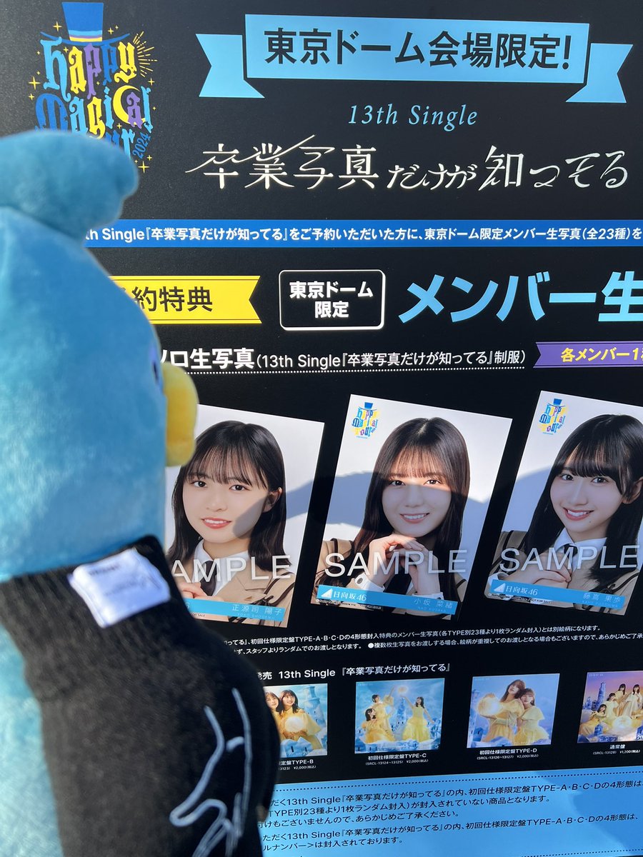 日向坂46 縁日 2等アクリルキーホルダー 全メンバー 日向坂46 縁日2等