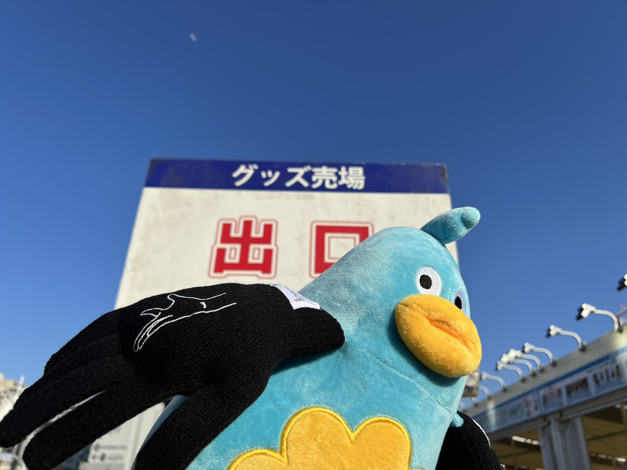 日向坂46 on X: 
