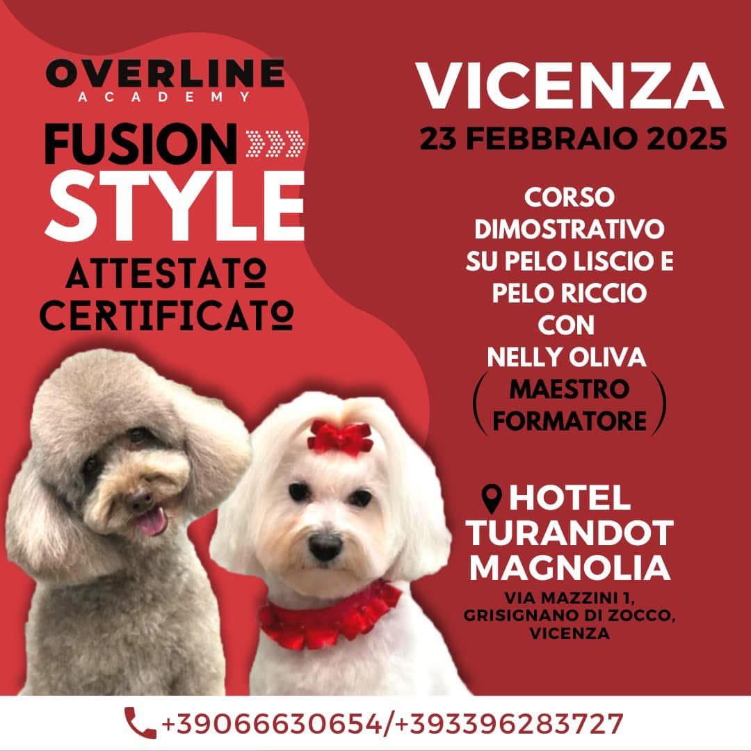 Nuovi corsi di formazione 2025 prenota la tua partecipazione !!! #overlineacademy #overlinegroup #nellyoliva #corsoditoelettatura #roma #benessereanimale #accademiaditoelettatura #corsocertificato