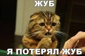 sswebcoder's tweet image.