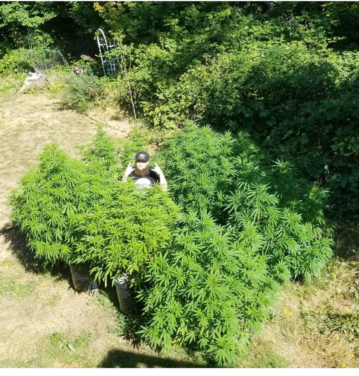 Harrydabs710's tweet photo. I can’t wait for outdoor season https://t.co/IsSqalwb0I