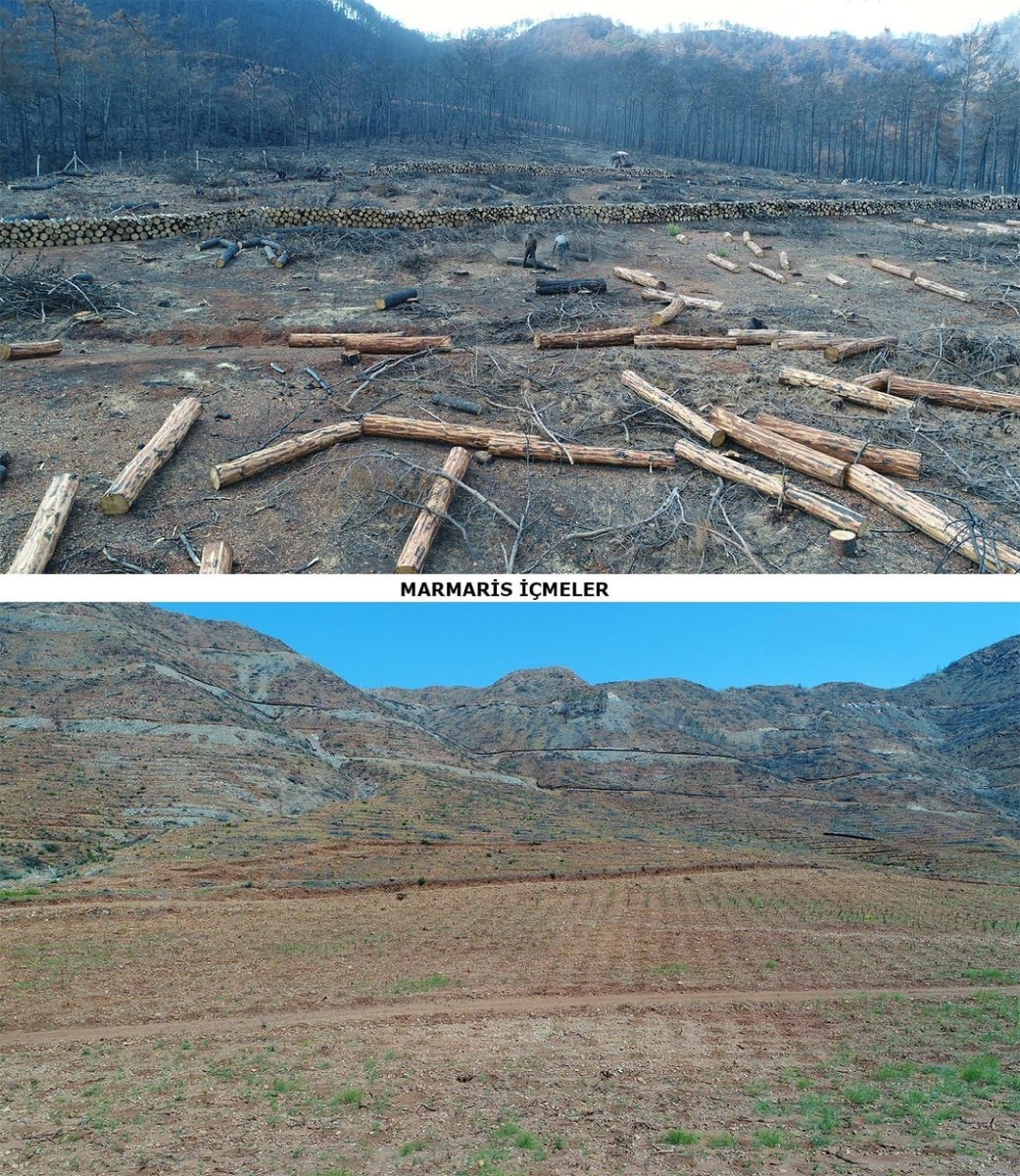 📌2024'te 3 bin 800 orman yangınında 27 bin hektar alan zarar gördü

📎 dha.com.tr/2555670