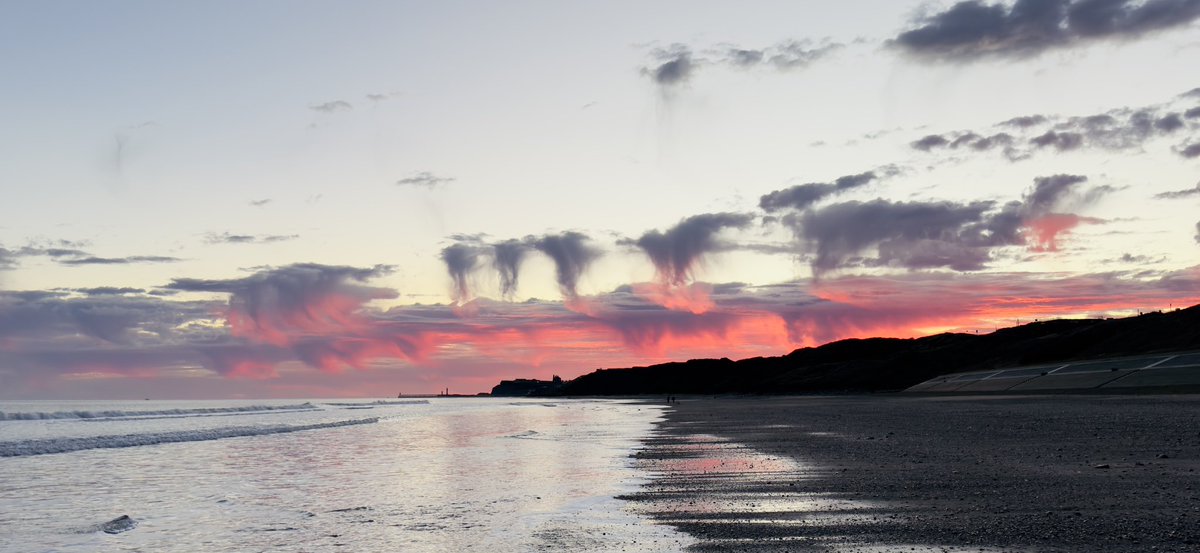 Robbie Preston tweet media