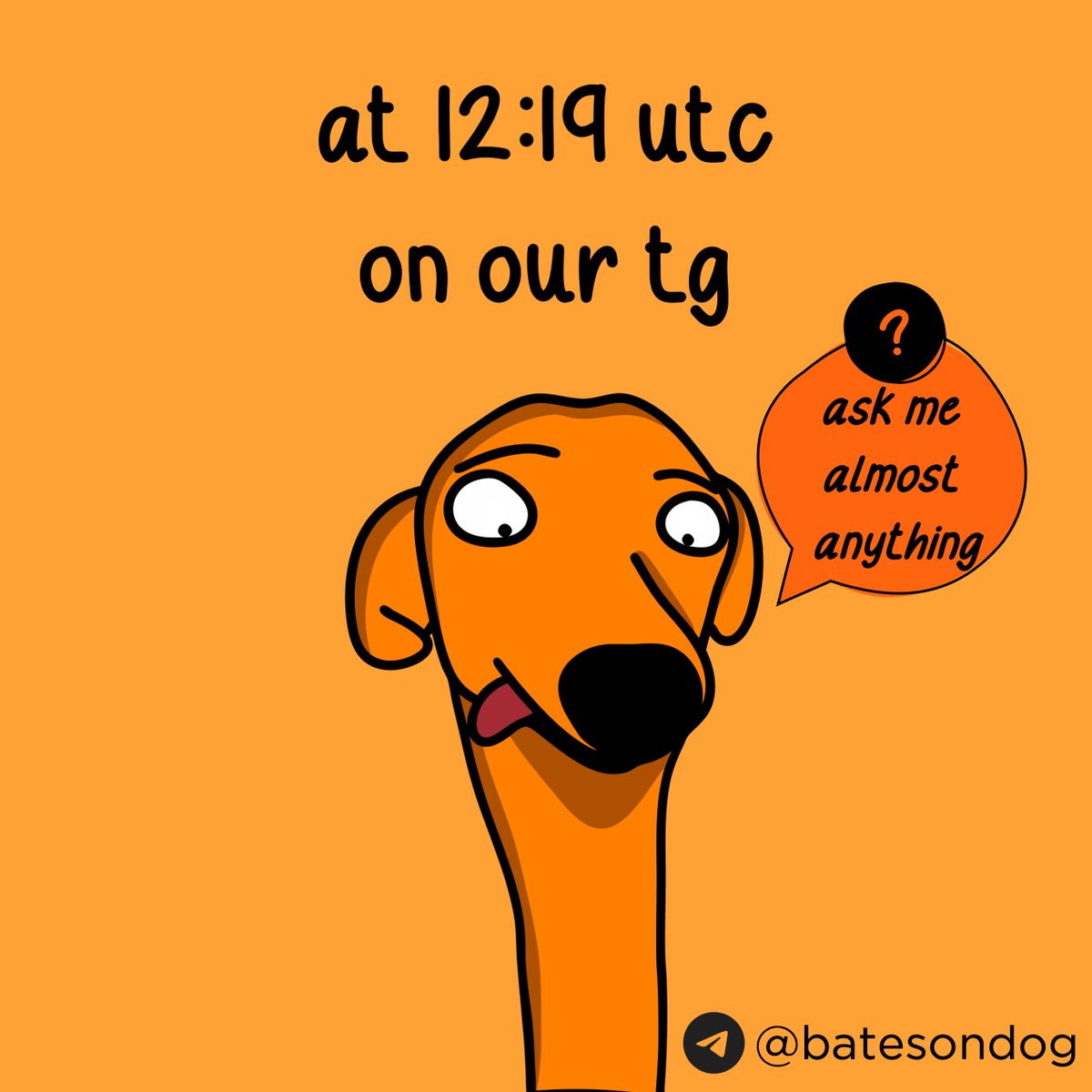 thebodcoin's tweet photo. join us for an amaa (ask me almost anything)

⏰ today at 12:19 utc
📍 t/me:batesondog