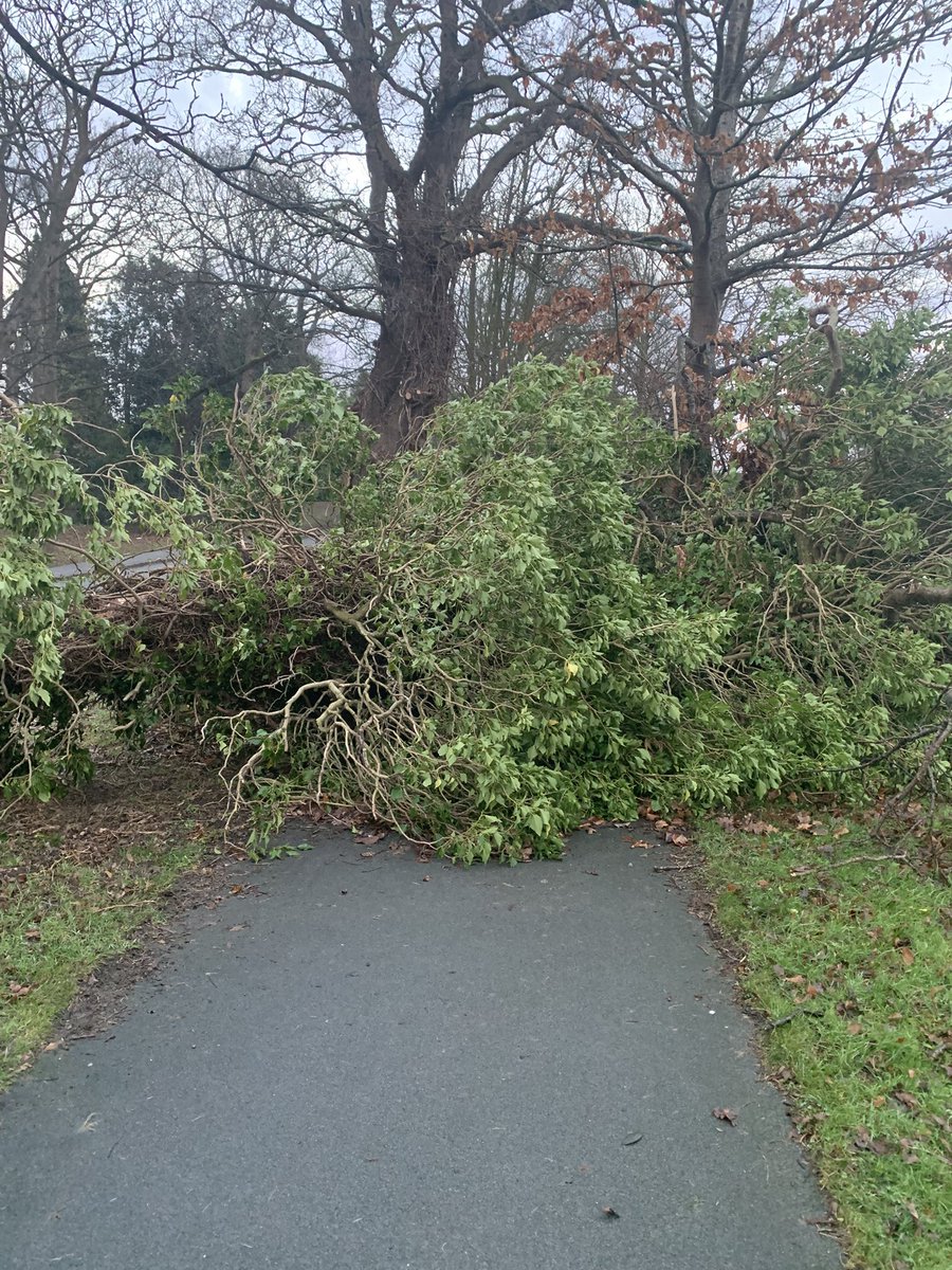 Unsy277's tweet photo. @Go_CheshireWest fallen tree on Ledsham Road Little Sutton since Storm Darragh when are you going to clear and remove? This is totally unacceptable leaving same for three weeks please sort ASAP @justinmadders https://t.co/w06cpyUZKv