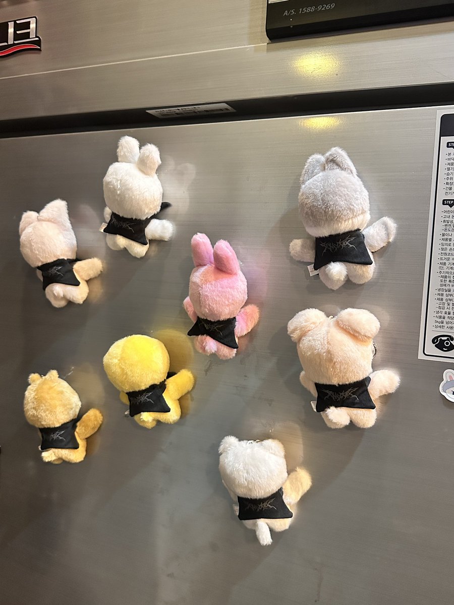 고수포차 별관 냉장고 근황