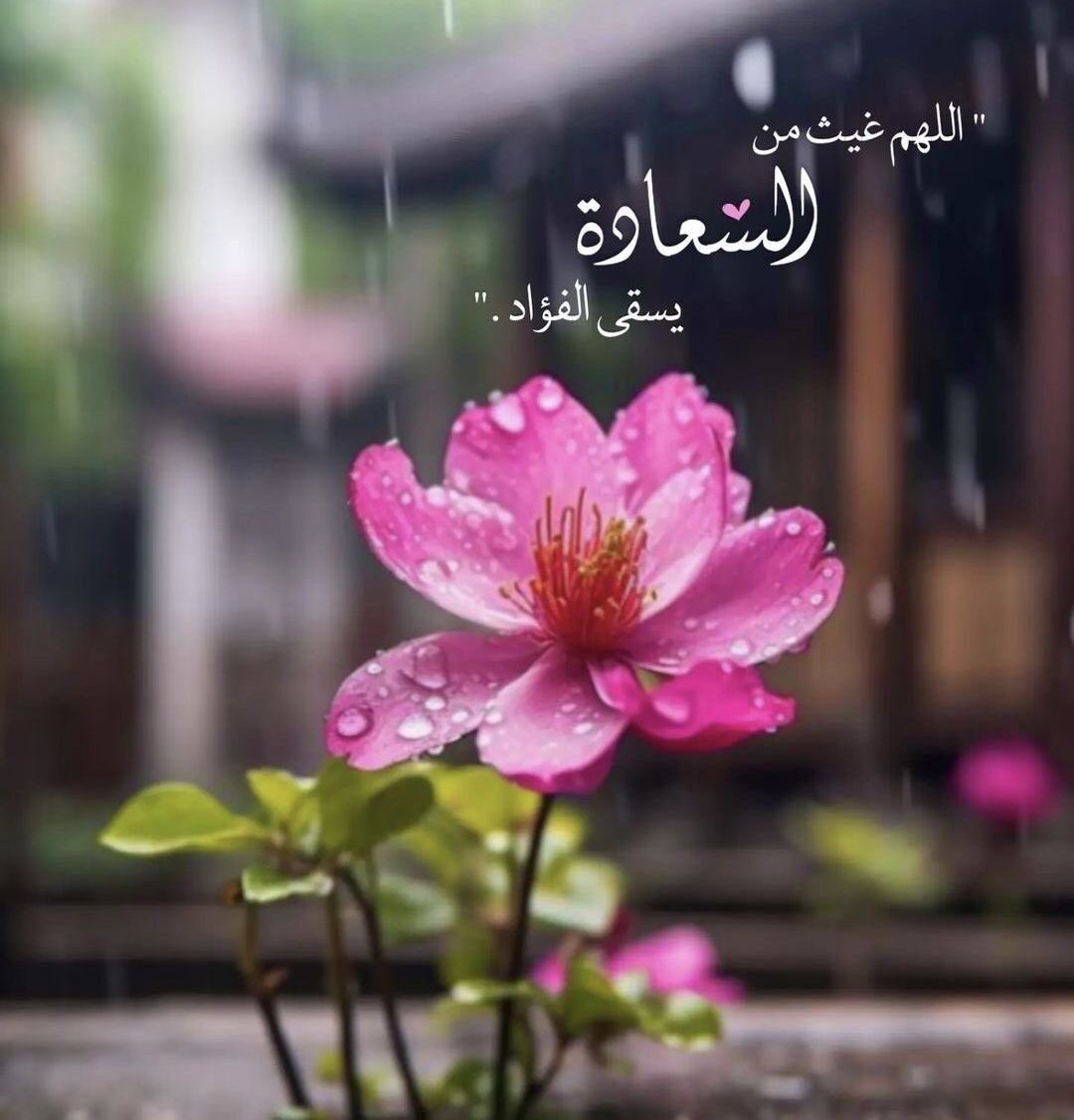 🇮🇶❤️🇮🇶ENG.MOHAMMED 1 🇮🇶❤️🇮🇶 tweet media