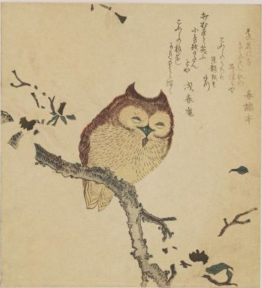 Kazuko M. tweet media