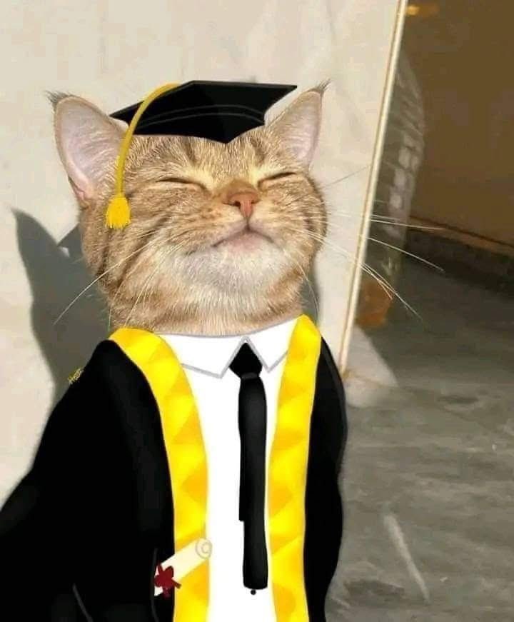 + يستمع الي رامي جمال