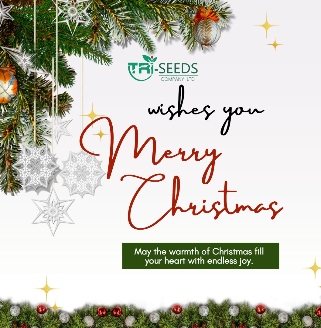 Merry Christmas and Happy new Year