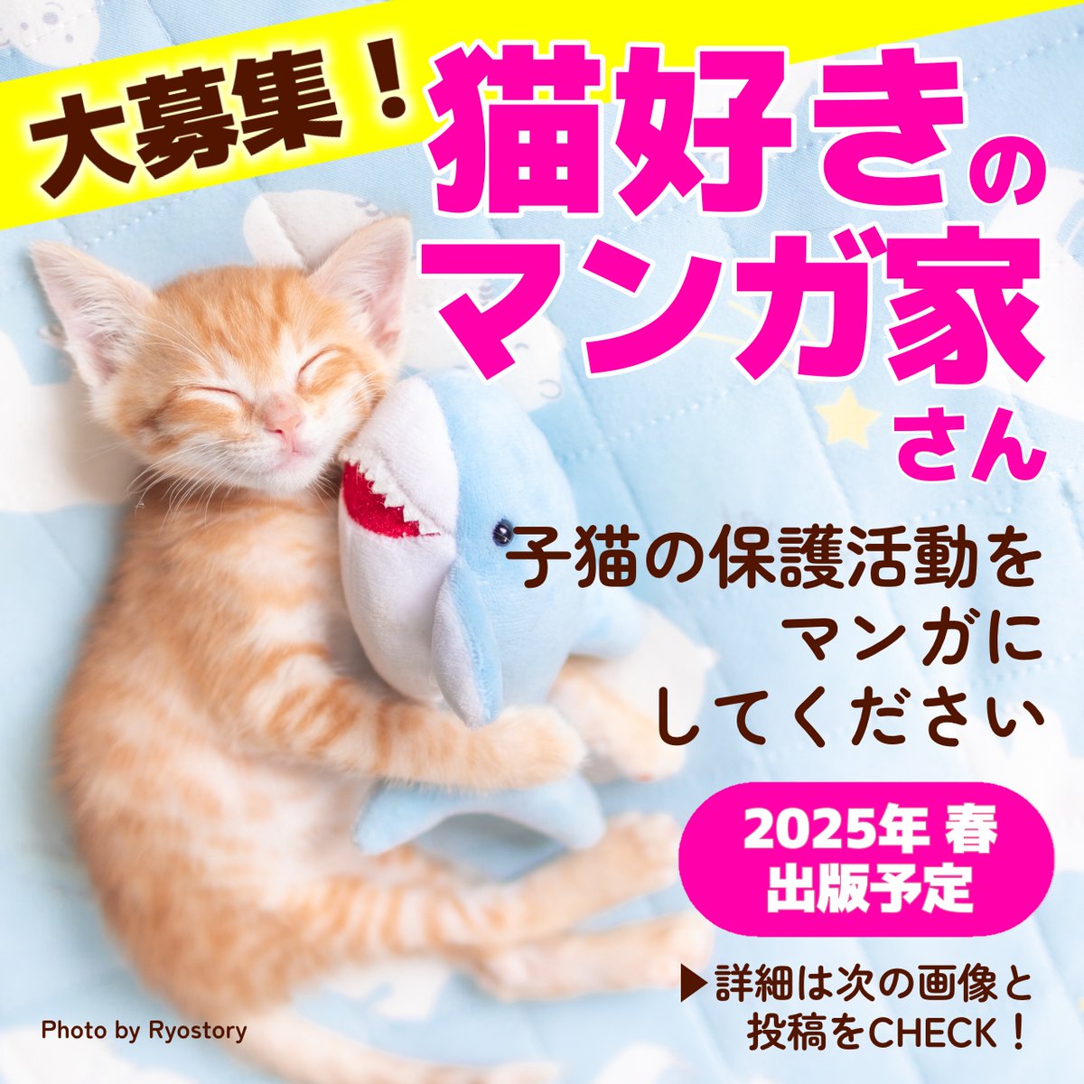 ＼猫好きマンガ家さん大募集／
子猫の保護活動をマンガにしてください！
締切：2025年1月7日

🐈🐾🐈🐾🐈🐾

【募集内容】
2025年春に発売予定の書籍で、子猫の保護活動をコミカライズしてくださる作家さんを募集します。
プロ・アマは問いません。
いちばんの条件は「猫好きであること」です😻