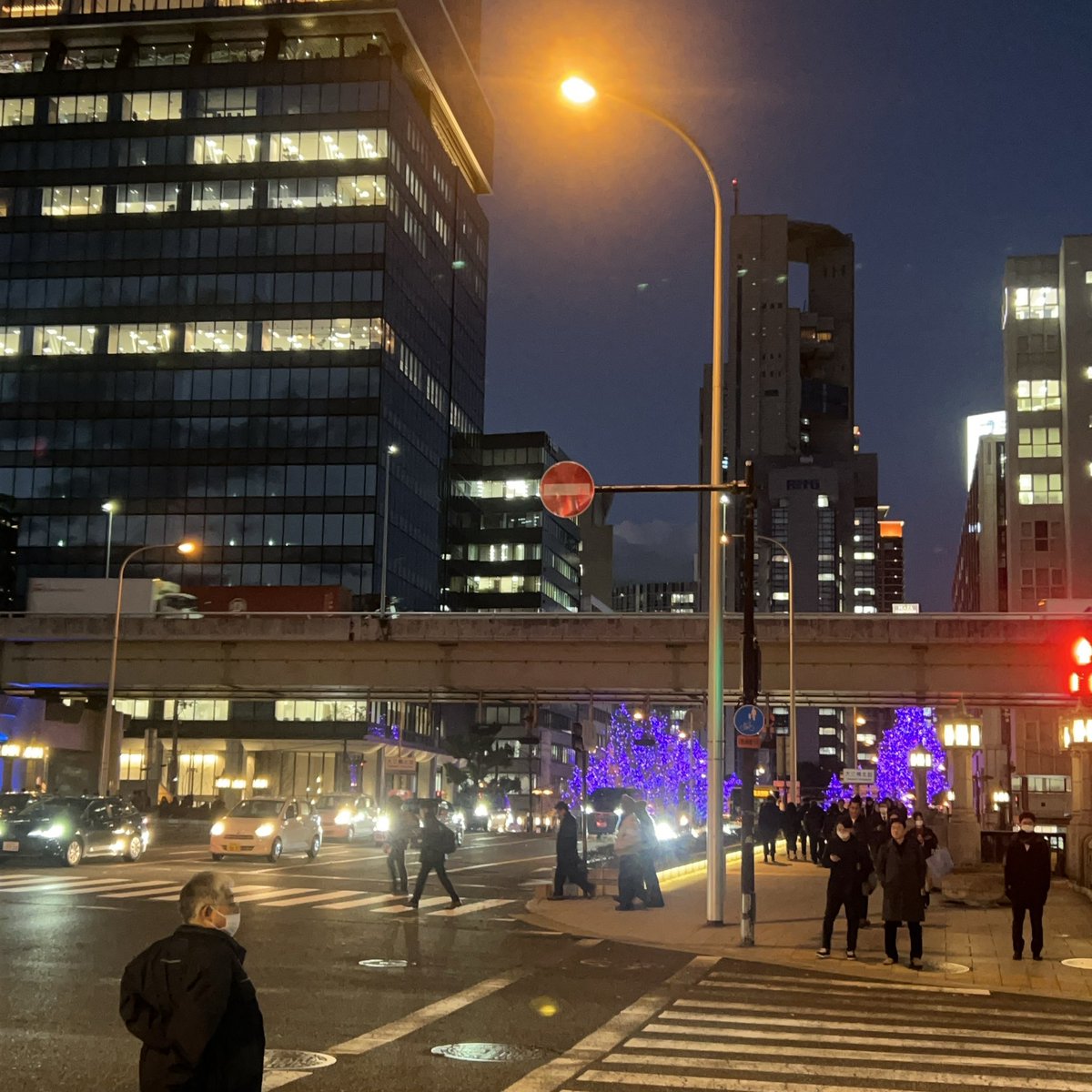 yellowcat0's tweet photo. 中之島〜御堂筋でイルミネーション🛣️ https://t.co/TEsIjaUxa6