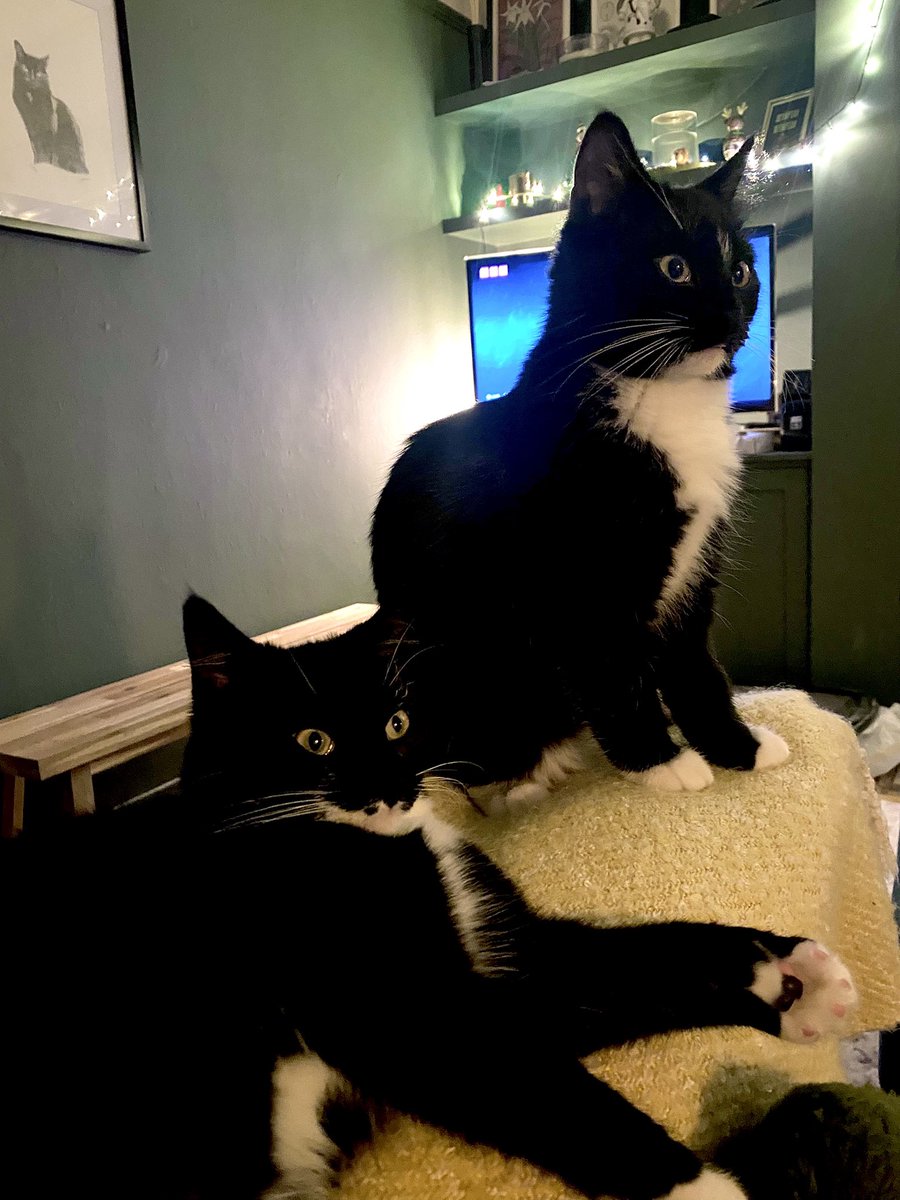 Kelly Sotherton MBE tweet media