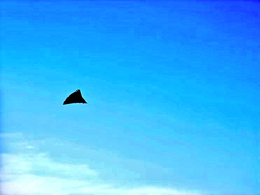 International Defence Analysis tweet media