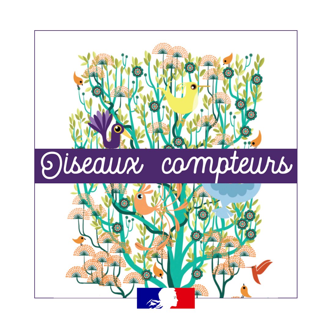 Eduscol's tweet photo. Les « Oiseaux-compteurs » : un jeu de cartes évolutif pour renforcer le goût et la pratique des #Mathématiques au CP 🦚

Un contexte d'apprentissage ludique pour jouer et apprendre à faire des mathématiques ensemble, en classe ou en famille !
🔢 https://t.co/H9OYaHMquH https://t.co/3NwoJ3qYW2